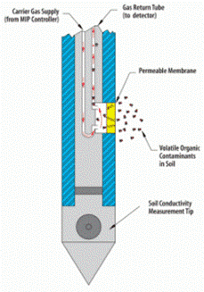 Membrane Interface Probe